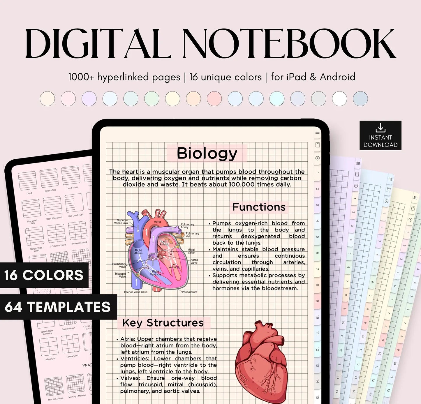 My Digital Notebook with Tabs